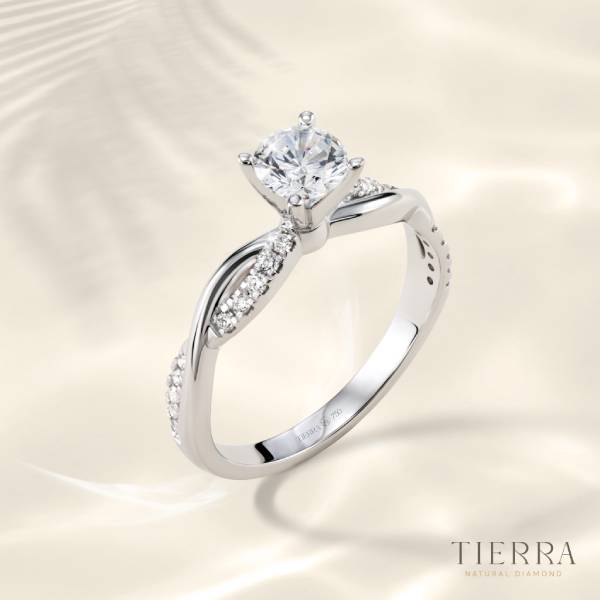 Nhẫn kim cương 5ly4 Twist 1 đai tấm NCH1701